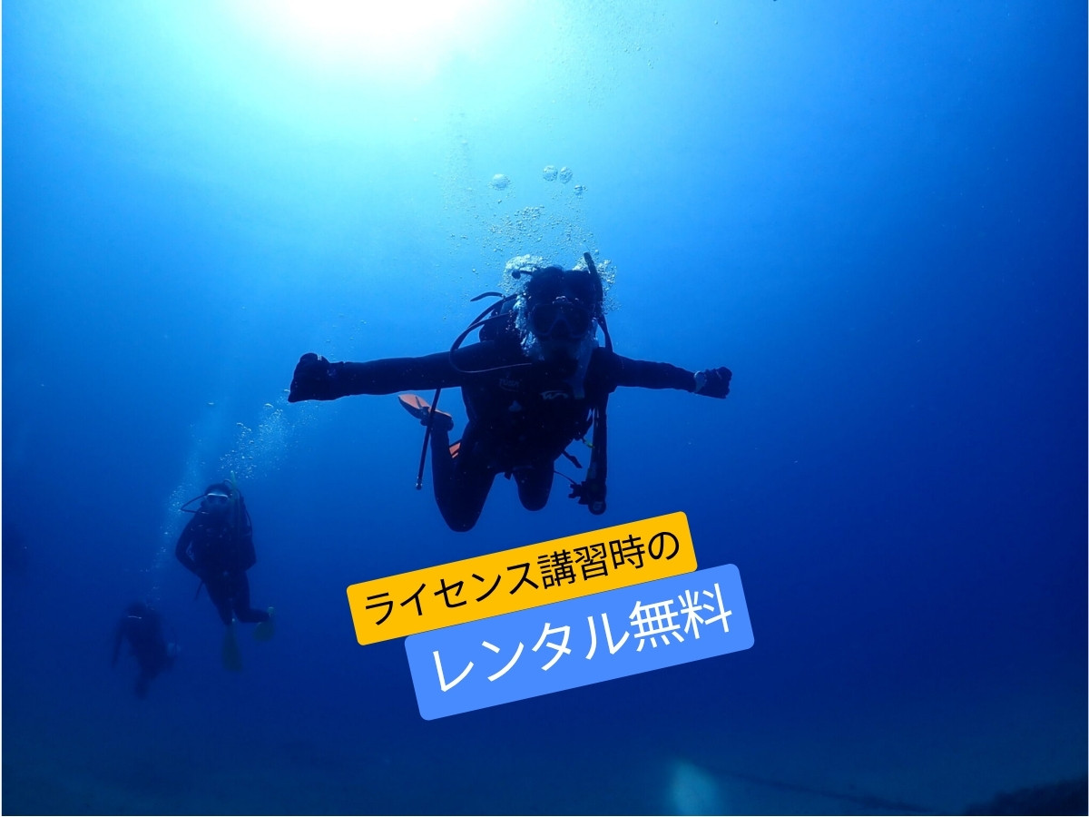 中性浮力を保ちながら伊豆の青い海を泳ぐアドバンス講習のダイバー