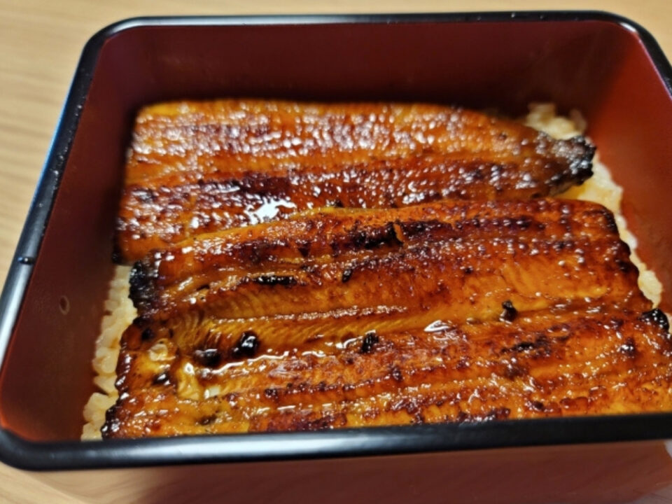 三島観光と伊豆ダイビングを組み合わせて楽しむイメージ