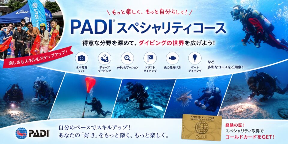PADIスペシャリティコースで水中写真や中性浮力などを学ぶダイバーのバナー