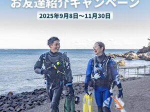 PADI初心者コースお友達紹介キャンペーン｜Peacefulダイビングショップ（2025年9月8日～11月30日開催）