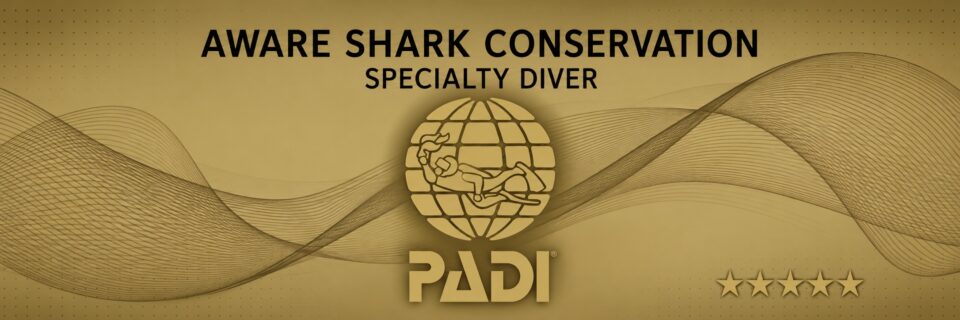 サンゴ礁の保護について学ぶPADIサンゴの保護スペシャリティコースの認定カード画像