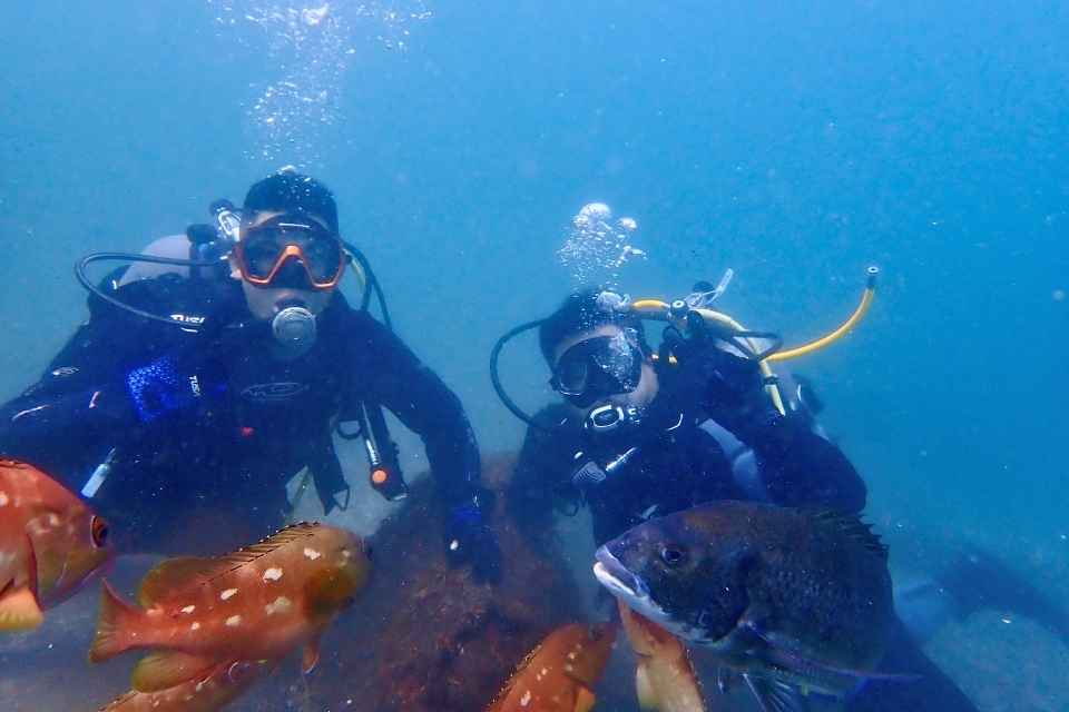 田子・瀬浜で魚に囲まれて体験ダイビングを楽しむ2名の参加者