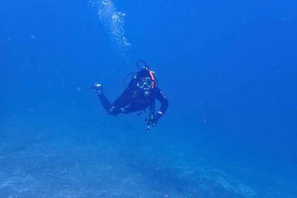 大瀬崎のAOW講習で中性浮力を保ちながらホバリングするダイバー