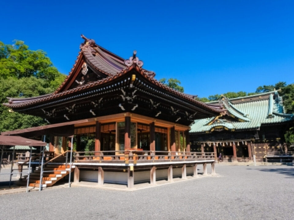 三島から伊豆ダイビングに行く魅力を伝える写真