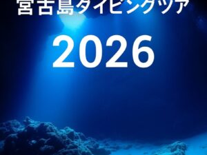 「宮古島の地形ダイビングスポットで光が差し込む洞窟の水中写真。皆で行こう！宮古島ダイビングツアー2026」