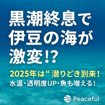 黒潮流路図