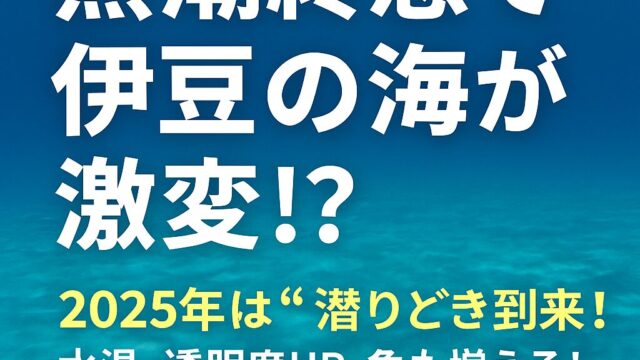 黒潮流路図