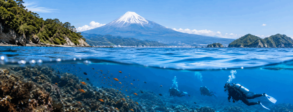 富士山と駿河湾を背景に、海中でダイビングを楽しむ静岡の海のイメージ風景