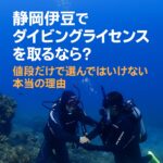 静岡・伊豆でダイビングライセンスを取るなら？値段だけで選んではいけない本当の理由