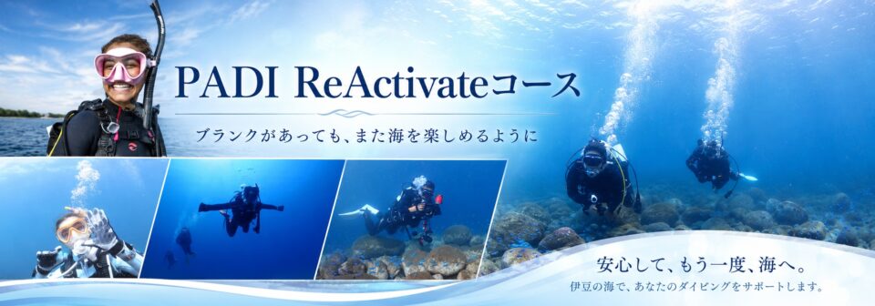 伊豆でブランクダイバーが安心してダイビングを再開するPADI ReActivateコースのイメージ画像
