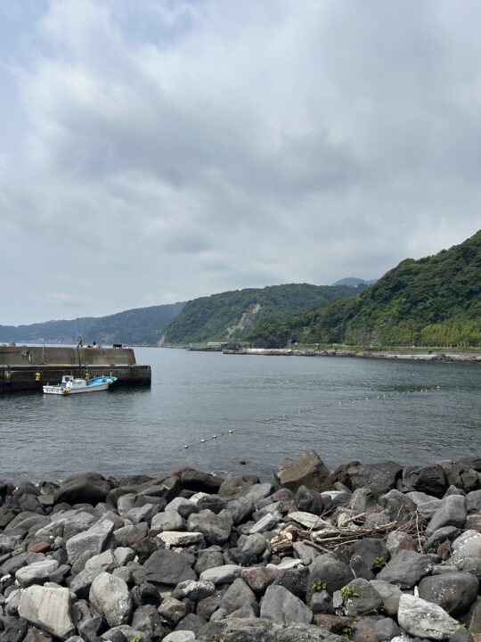 PADIクリーンナップイベントが開催された東伊豆・赤沢の海の風景