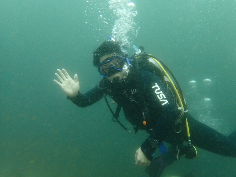 大瀬崎の湾内でダイビング