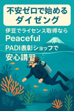 不安ゼロで始めるダイビングBlog