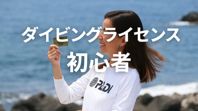 PADIダイビングライセンス初心者の写真
