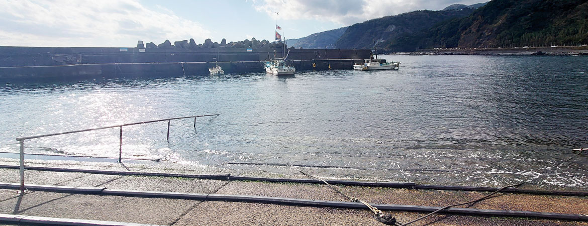 赤沢の海岸と東伊豆のダイビングポイント