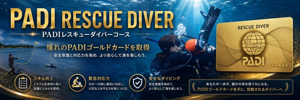 伊豆で自分とバディを守る力を学ぶPADIレスキューダイバーコースのイメージ画像