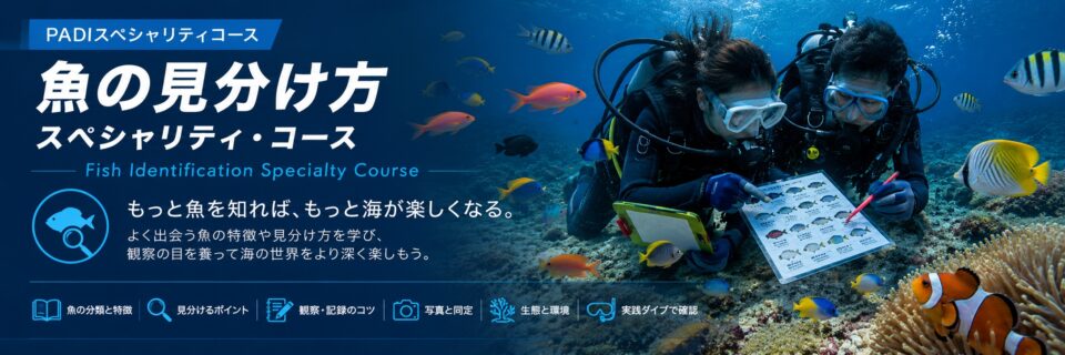 魚の特徴や見分け方を学ぶPADI魚の見分け方スペシャリティコースのイメージ画像