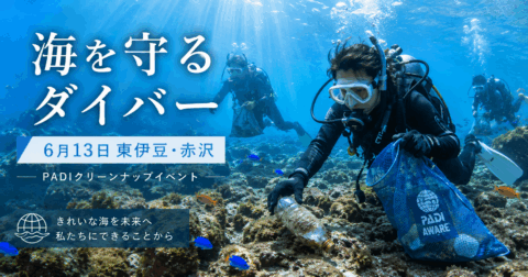 PADIクリーンナップイベントを東伊豆・赤沢で開催｜海を守るダイバーへ
