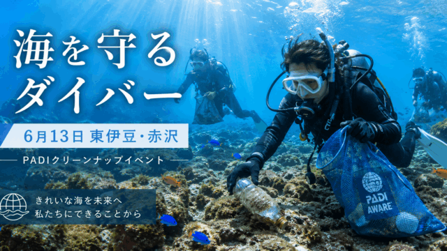 PADIクリーンナップイベントを東伊豆・赤沢で開催｜海を守るダイバーへ