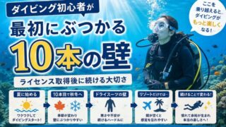 ダイビング初心者がライセンス取得後にぶつかる10本の壁をテーマに、伊豆の海で経験を重ねる大切さを表したアイキャッチ画像