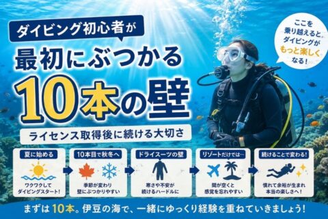 ダイビング初心者がライセンス取得後にぶつかる10本の壁をテーマに、伊豆の海で経験を重ねる大切さを表したアイキャッチ画像