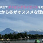 静岡・伊豆でダイビングライセンスを取るなら秋から冬がオススメな理由