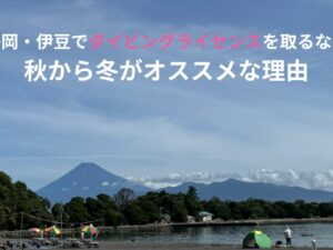 富士山を背景にした大瀬崎の海岸で、静岡・伊豆でダイビングライセンスを秋から冬に取得することをおすすめする記事のアイキャッチ画像