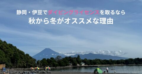富士山を背景にした大瀬崎の海岸で、静岡・伊豆でダイビングライセンスを秋から冬に取得することをおすすめする記事のアイキャッチ画像