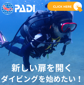 スキューバダイビング中の女性ダイバーが海中を泳いでいる様子。「新しい扉を開く ダイビングを始めたい！」というキャッチコピー付き。
