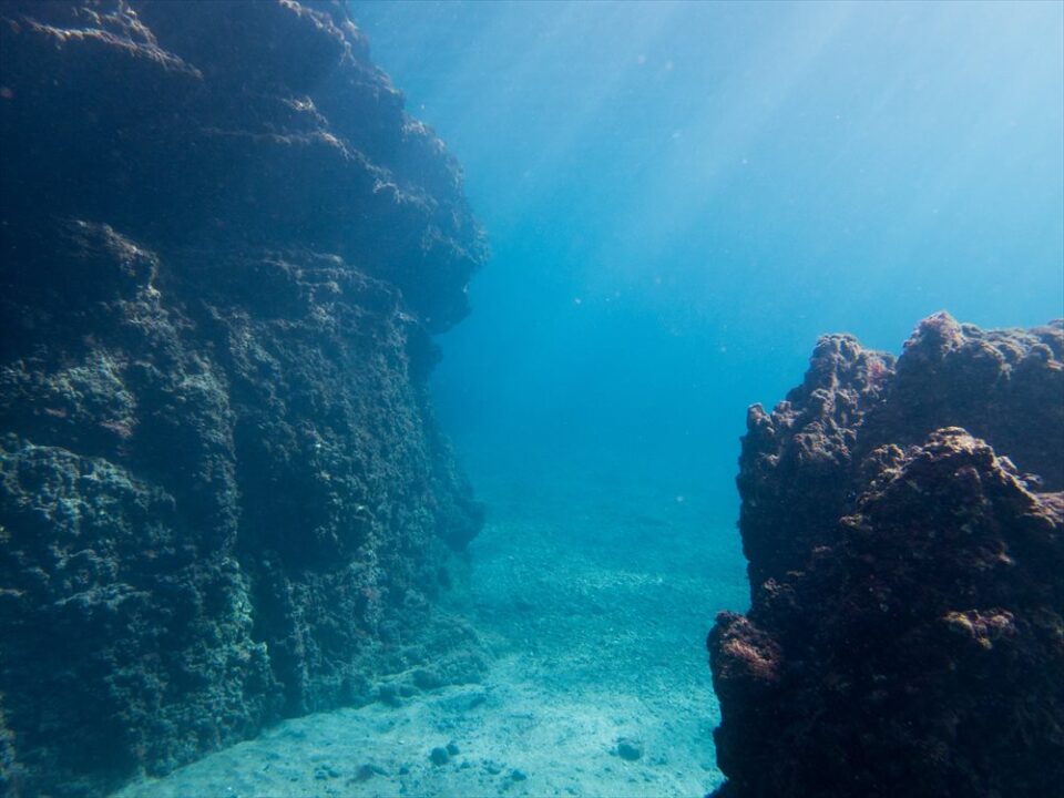 浮島カマガ根の水中景観