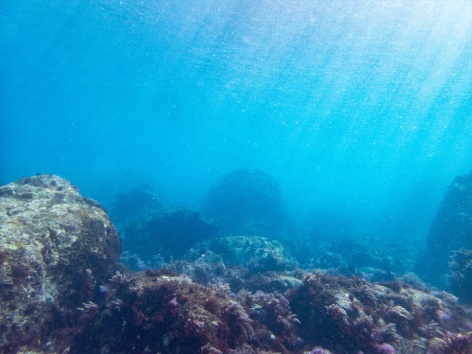 初島ダイビングの青い海と岩場の水中風景