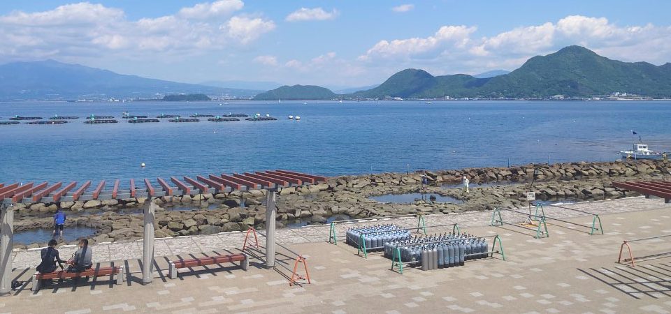 平沢ダイビングポイントと西伊豆の海