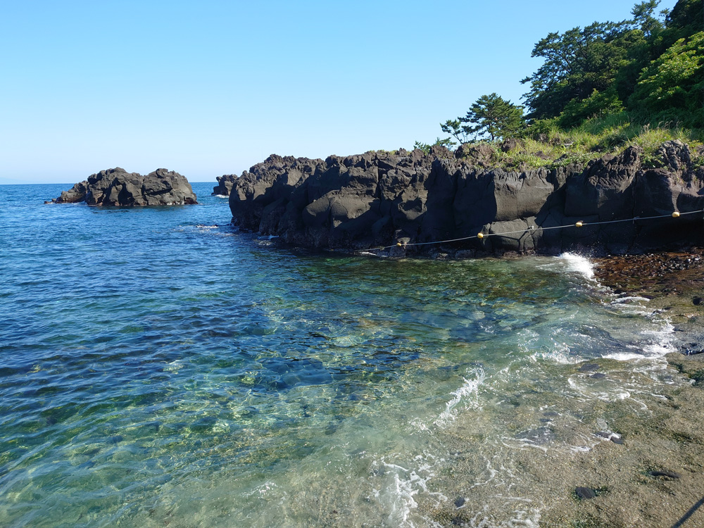 IOP・伊豆海洋公園の海岸と施設周辺の風景