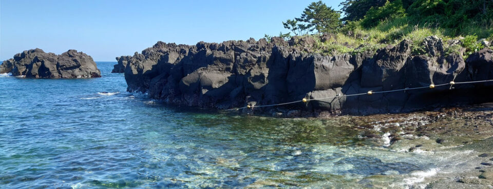 IOP・伊豆海洋公園の海岸と東伊豆の岩場