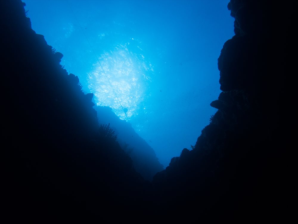 伊東ダイビングで楽しめる水中地形と青い海