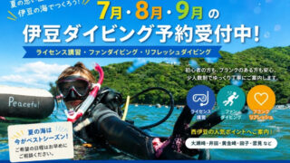 7月・8月・9月の伊豆ダイビング予約受付中。ライセンス講習、ファンダイビング、リフレッシュダイビングを案内するPeacefulの夏向けバナー。