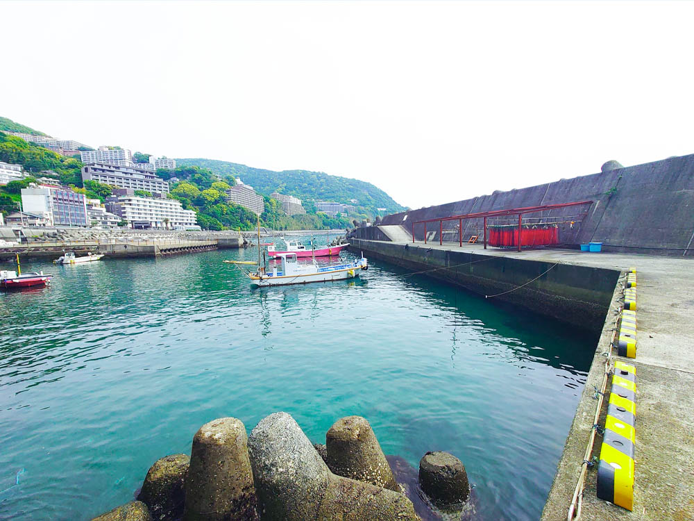 伊豆山ダイビングで楽しめる青い海と水中地形