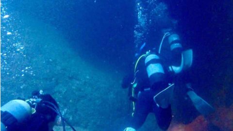 西伊豆・雲見の水中地形を進むダイバーたち