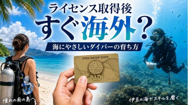 南国の海に憧れる初心者ダイバーとCカード、伊豆の海で中性浮力を練習するダイバーを配置した、ライセンス取得後の上達と環境配慮を伝えるアイキャッチ画像