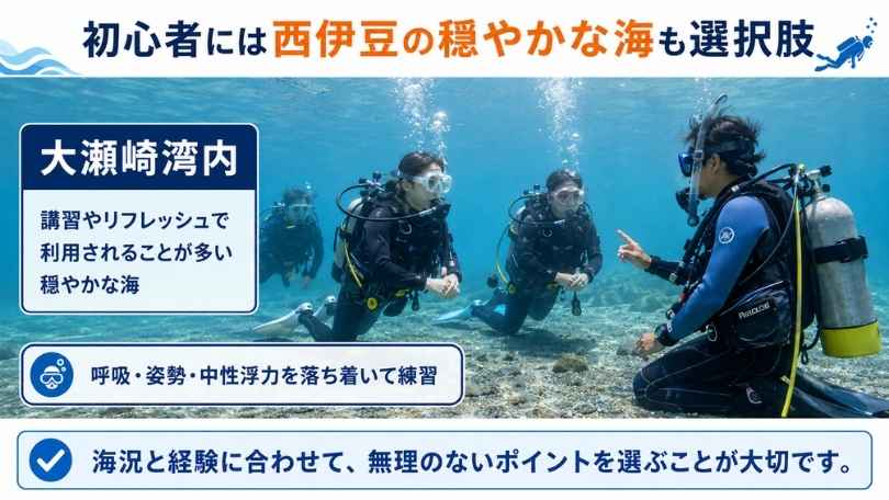 西伊豆の穏やかな海で中性浮力や姿勢を練習する初心者ダイバー