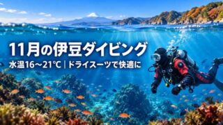 11月の伊豆の海でドライスーツダイビングを楽しむダイバーと富士山