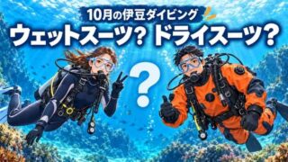 10月の伊豆ダイビングでウェットスーツとドライスーツを比較するイラスト