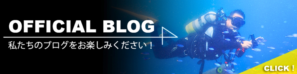 伊豆ダイビングの水中写真を使ったPeaceful公式ブログの案内バナー