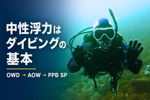 大瀬崎で中性浮力を保ちながらホバリングするAOW講習中のダイバー