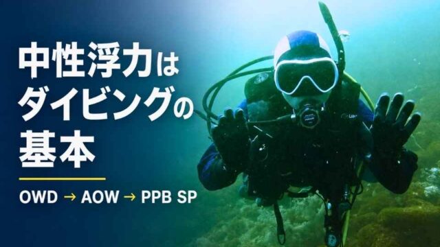 大瀬崎で中性浮力を保ちながらホバリングするAOW講習中のダイバー