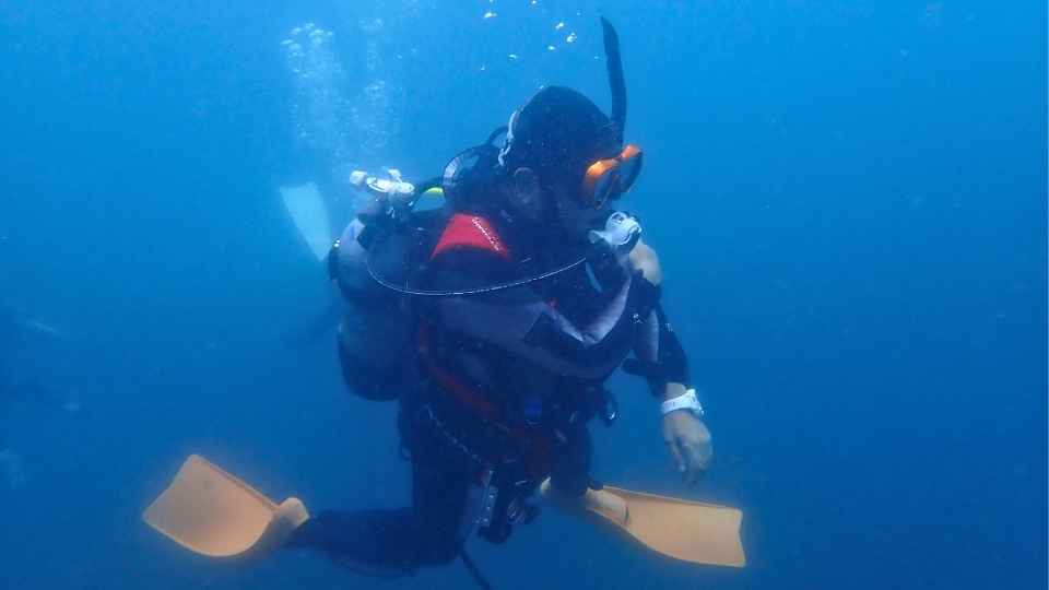 大瀬崎でバディと確認しながら泳ぐダイバー