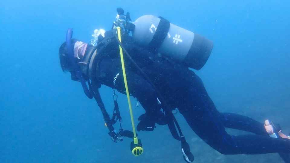 大瀬崎の岬の先端を泳ぐファンダイバー
