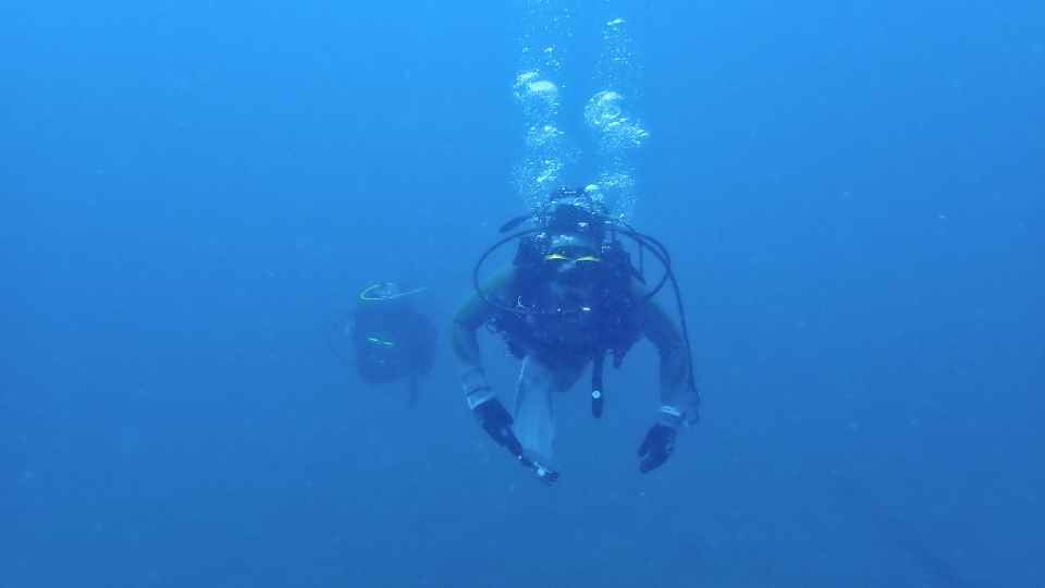 大瀬崎の岬の先端で魚の群れを観察するダイバー