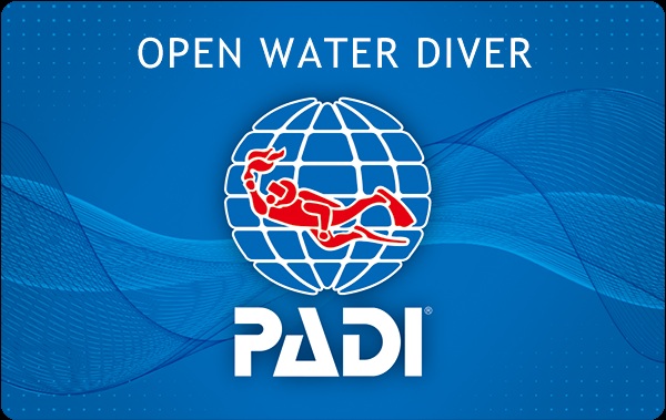 PADIオープンウォーターダイバー（Open Water Diver）のブルーカード。PADIダイブセンターで認定された際に発行されるスタンダードカードのイメージ。