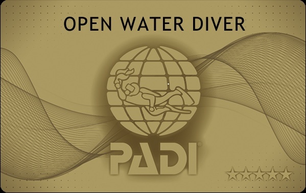 PADI 5スターダイブセンターで認定された際に発行されるPADIオープンウォーターダイバーのゴールドカード
